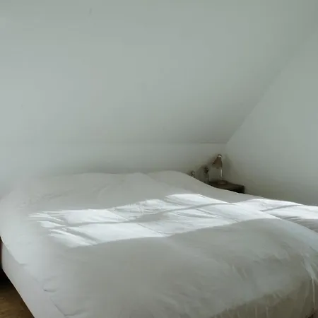 Dune And With Very Large And Beautiful Garden Villa *