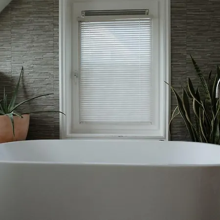 Dune And With Very Large And Beautiful Garden *