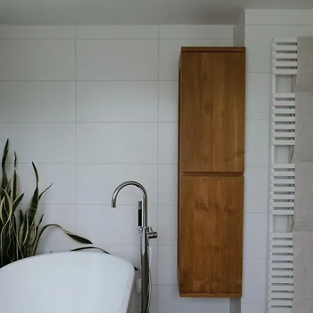 Dune And With Very Large And Beautiful Garden * Schoorl