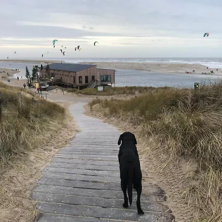 Dune And With Very Large And Beautiful Garden 别墅 斯霍尔